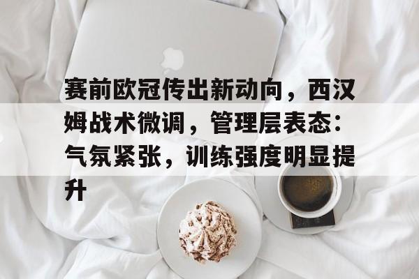 赛前欧冠传出新动向，西汉姆战术微调，管理层表态：气氛紧张，训练强度明显提升的简单介绍
